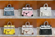 爱马仕Birkin 25cargo 现货12个色