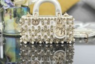 Lady D-Joy 超迷你刺绣麦穗珍珠型号：S0910