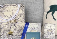 DIOR迪奥手掌纹 一片式卡包