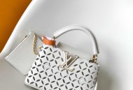 LV M25893本款 Cacines 迷你手袋