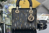 Lady Dior 四格刺绣流光彩珠包型号 : M0538